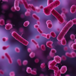 10 Langkah Mempercepat Pemulihan dari Leptospirosis dengan Tepat