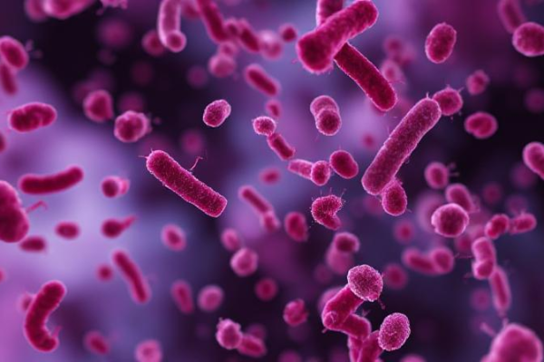 10 Langkah Mempercepat Pemulihan dari Leptospirosis dengan Tepat