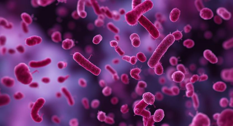10 Langkah Mempercepat Pemulihan dari Leptospirosis dengan Tepat