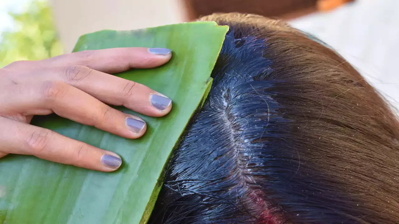 5 Bahan Alami yang Baik untuk Rambut Anda