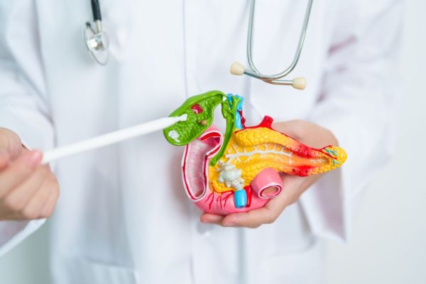 10 Tips Pola Hidup Sehat untuk Lindungi Pankreas 10 Tips Pola Hidup Sehat untuk Lindungi Pankreas